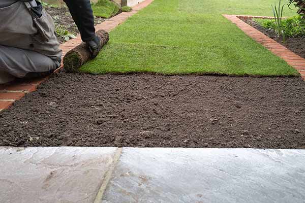 Sod Installation